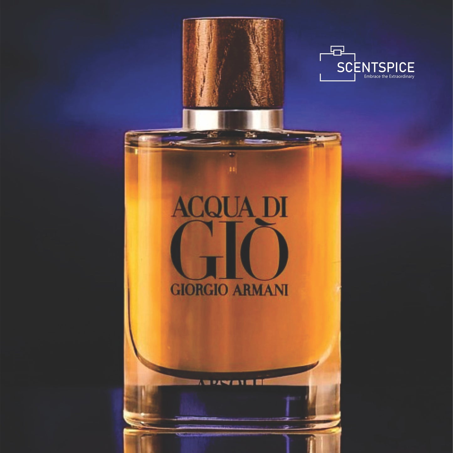 AQUA DI GIO ABSOLU